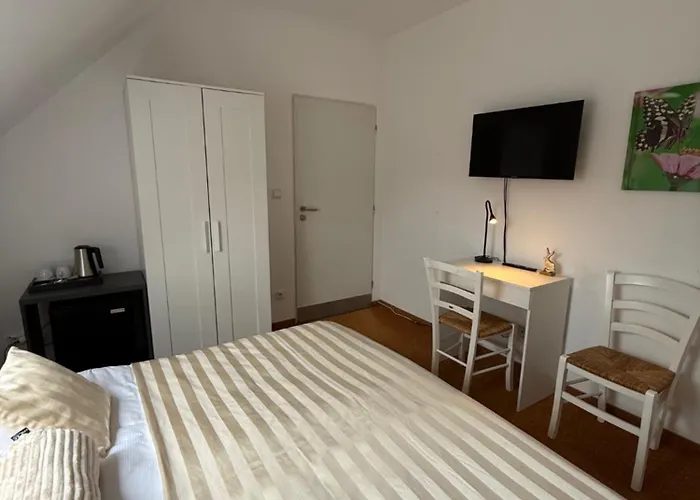 Guest house U Srncika 3*